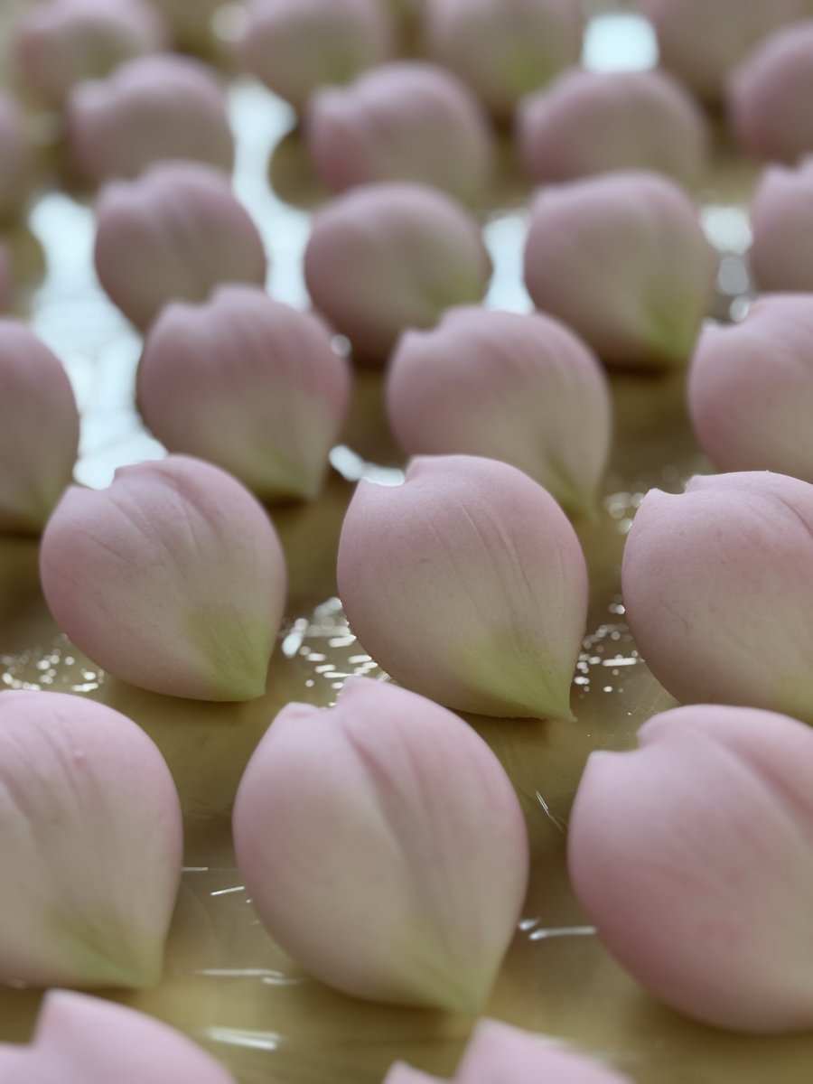 和菓子処 茶の子 tweet media