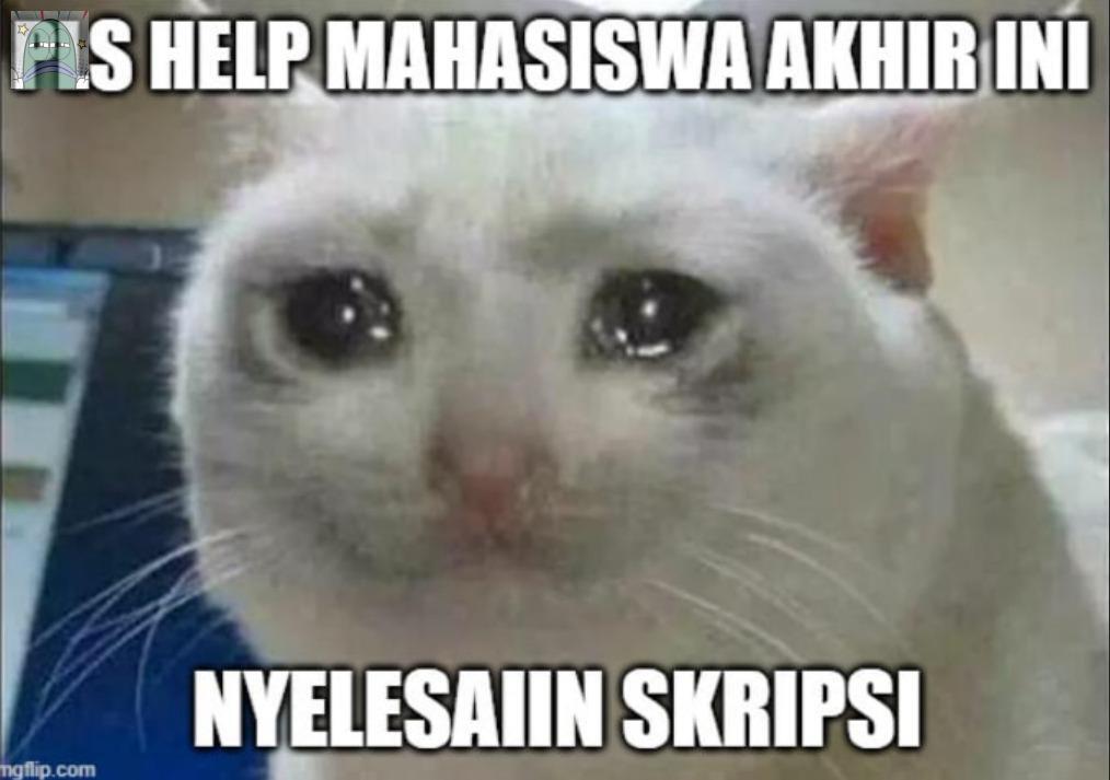 Tanyarlfes tweet media