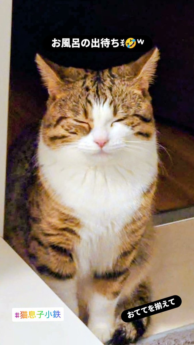 Buddie☆S tweet media