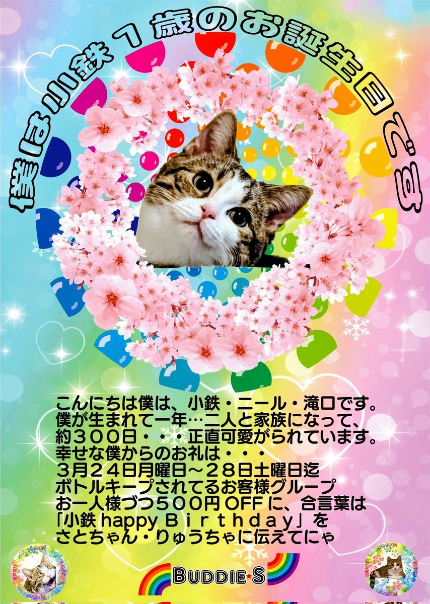 Buddie☆S tweet media