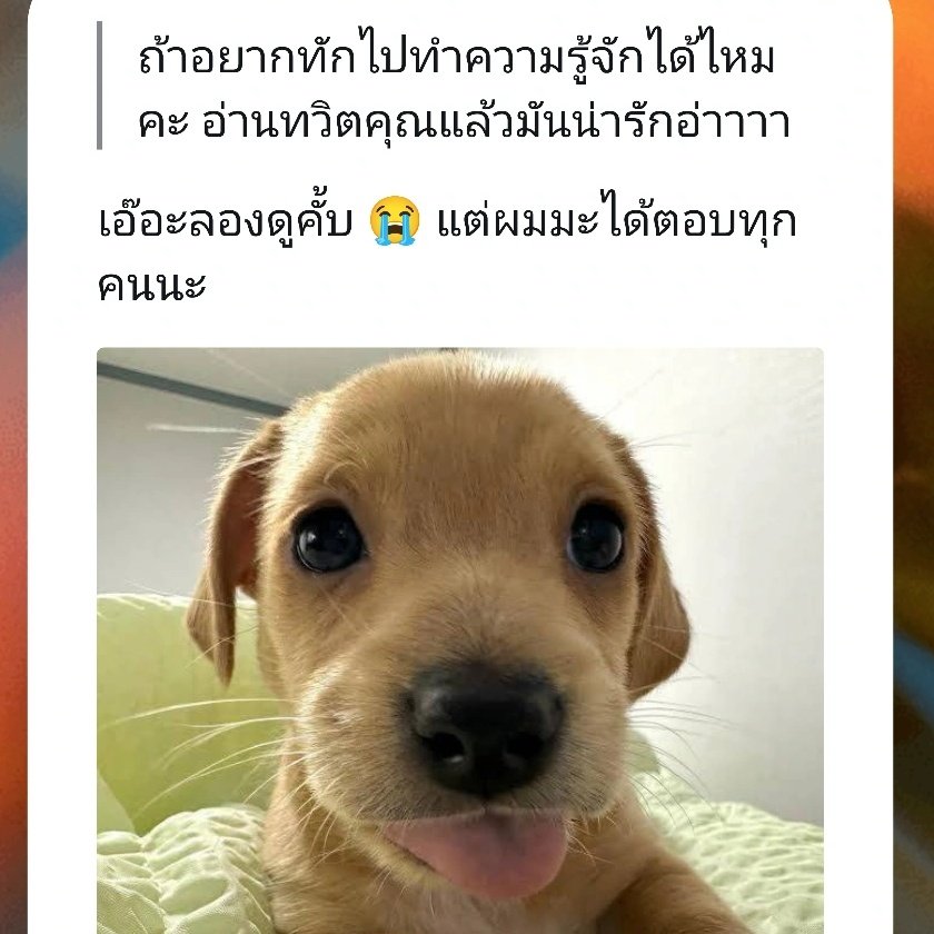 Mocha 🔇 tweet media