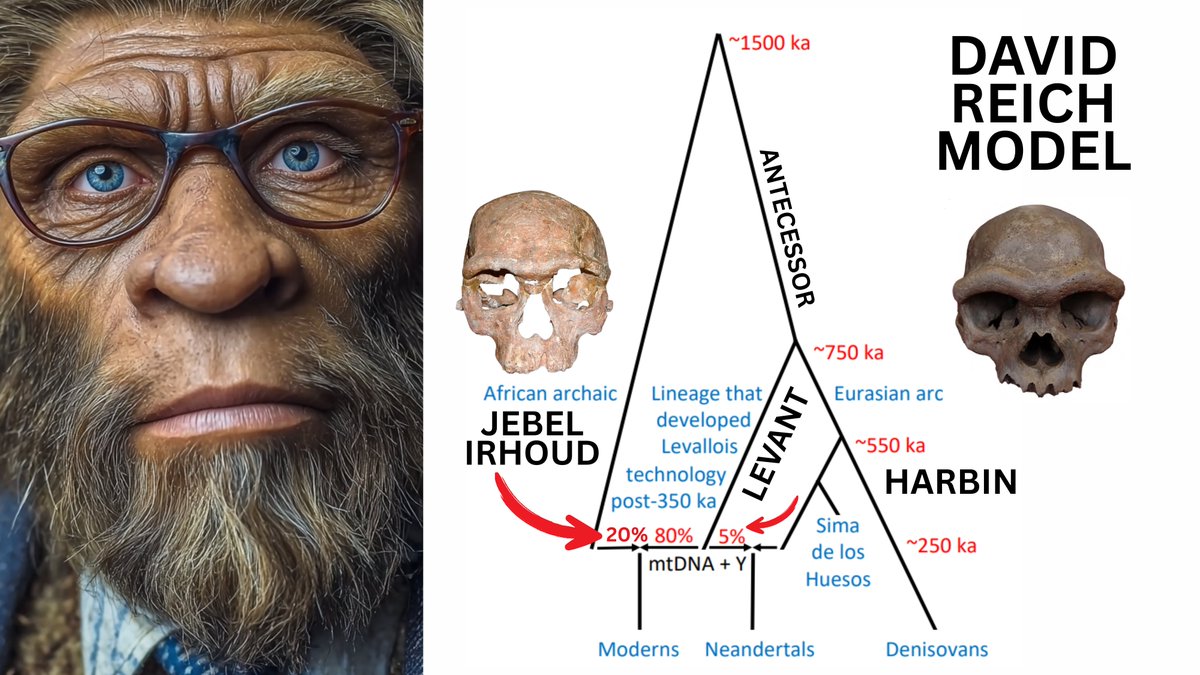 Given the fact that Neanderthals have both Sapiens yDNA and mtDNA, there is nothing precluding a model whereby Sapiens are the a branch of Neanderthals, rather than the other way around...