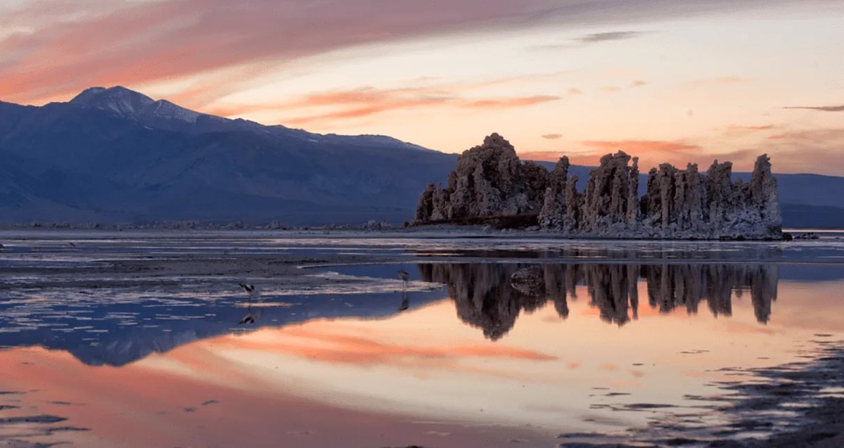 Edward Ring tweet media