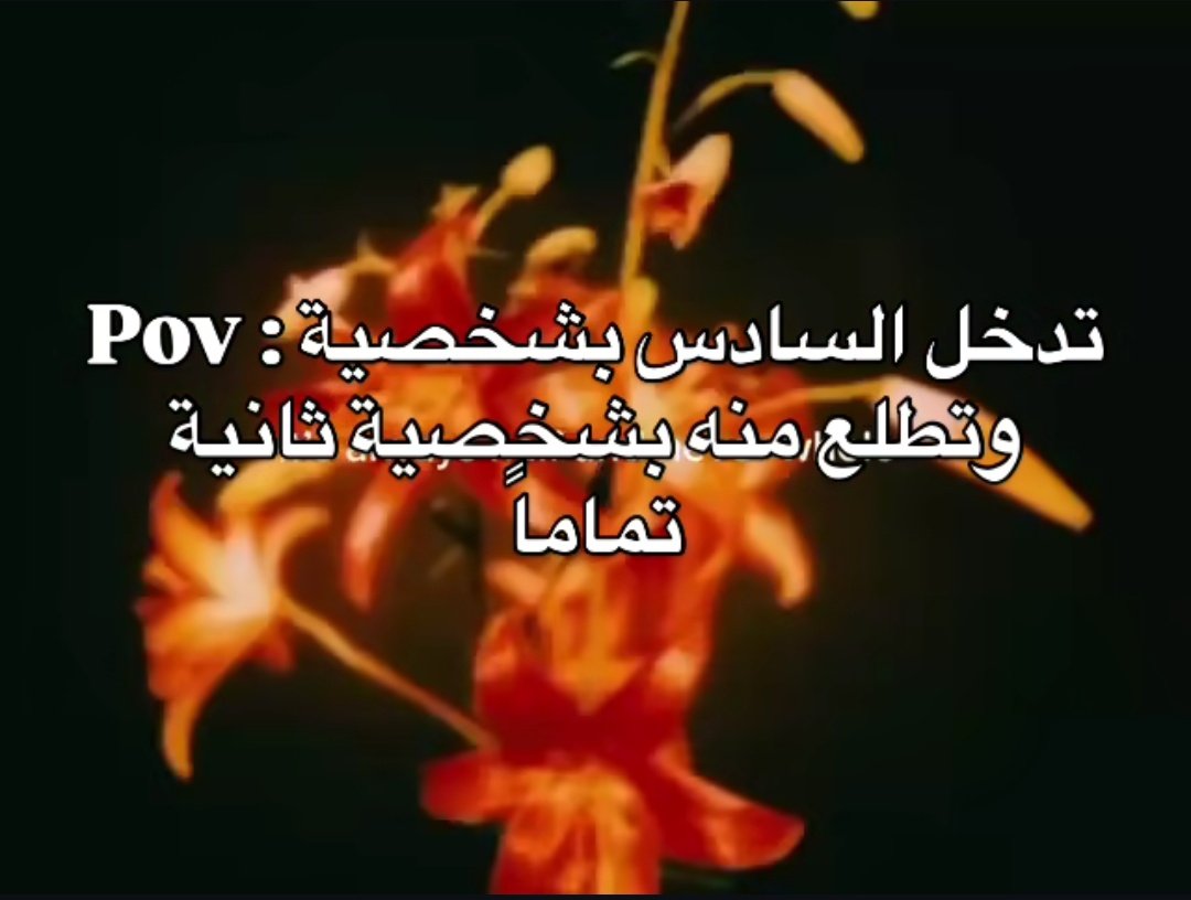 نانة بنانة tweet media