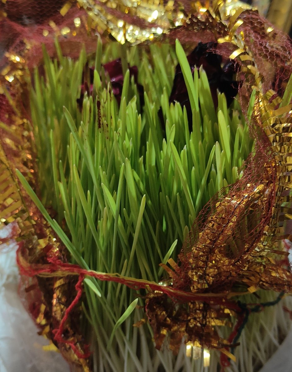 Atiriyā 𓆗𖤓 tweet media