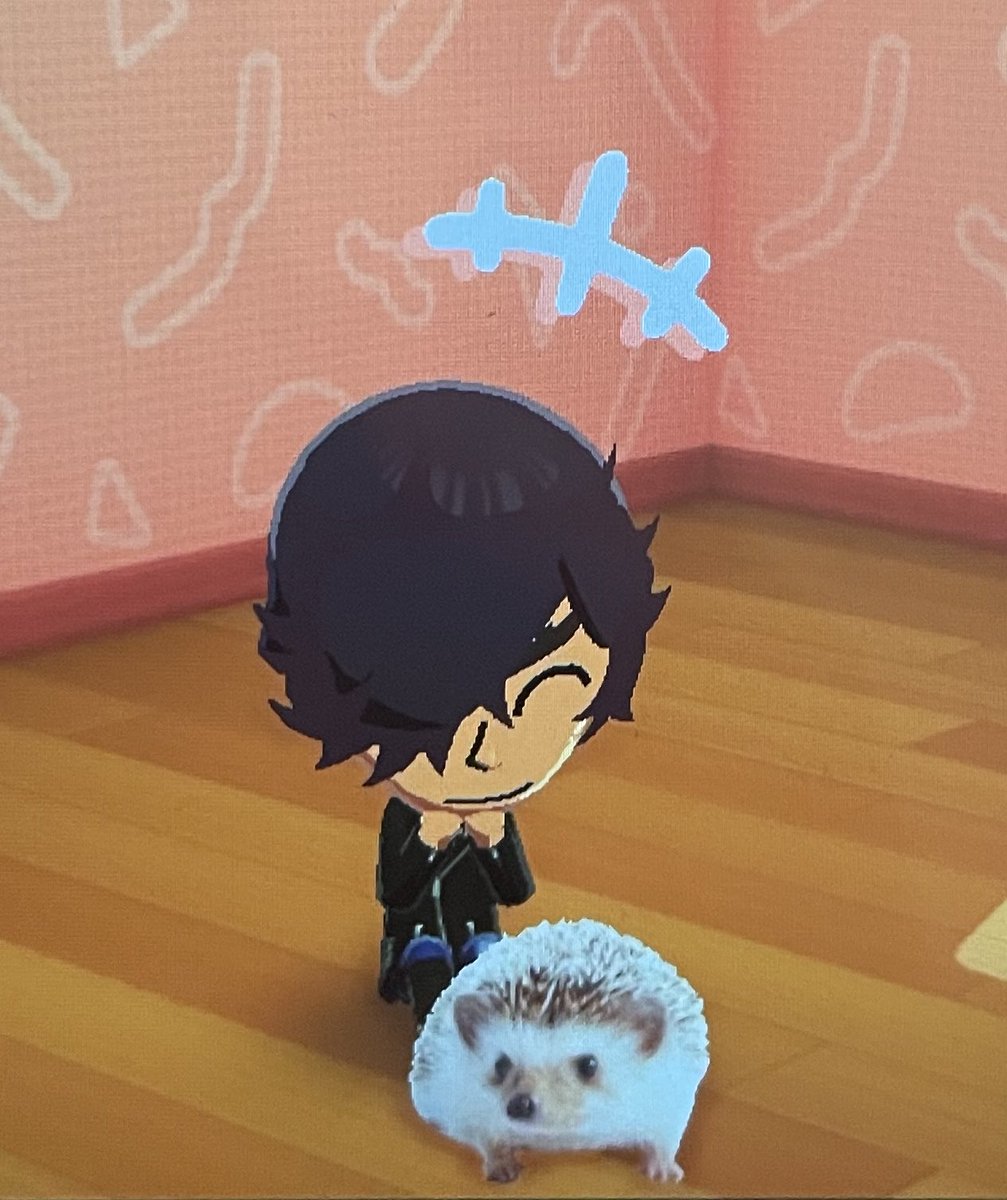 nnpp🐇 tweet media