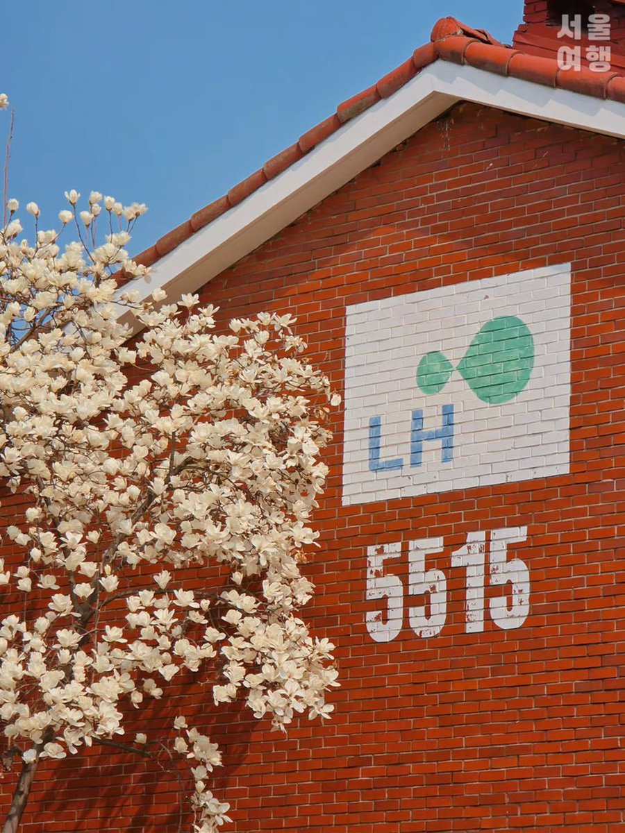 เม้าท์มอยเกาหลี tweet media