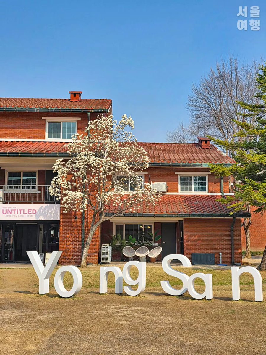 เม้าท์มอยเกาหลี tweet media