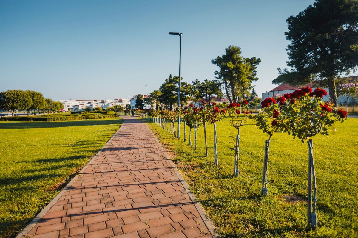 Colours of Istria tweet media