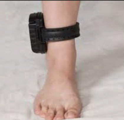 ELCATALAN tweet media