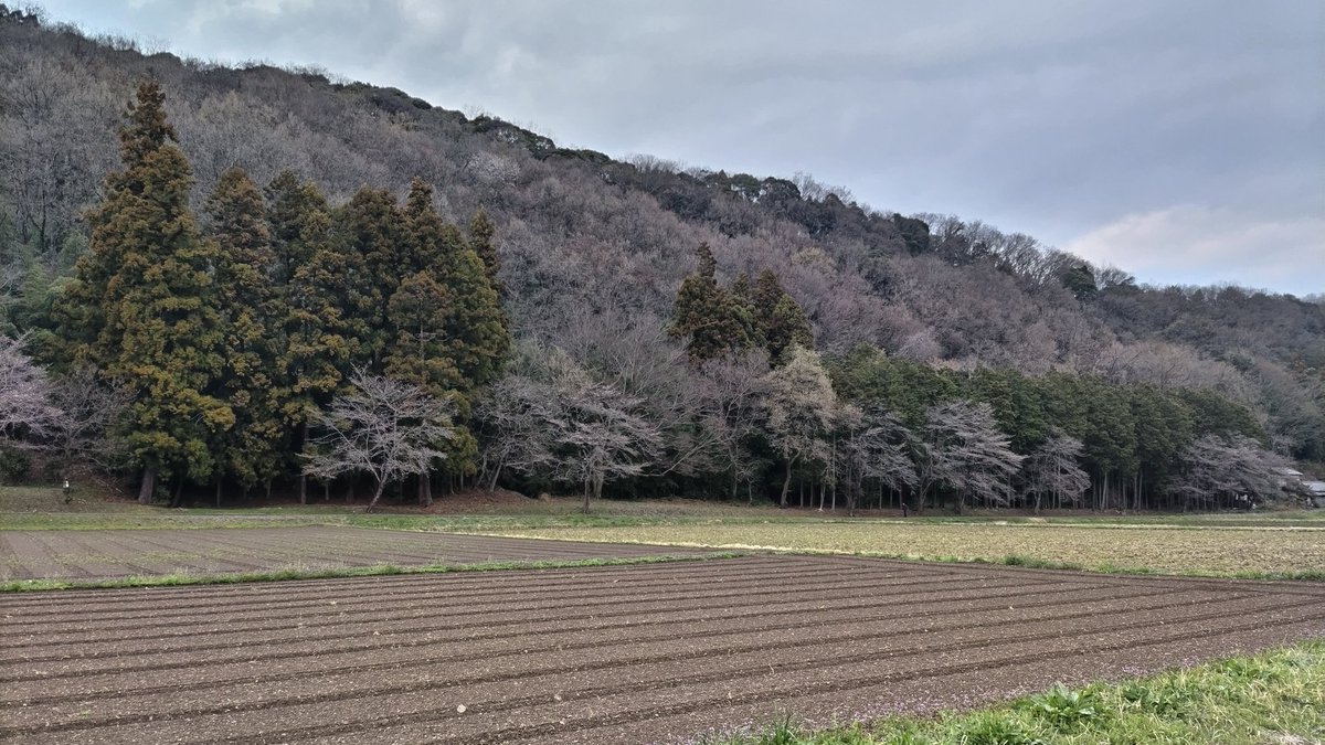 ひろぽん@404Fleche日本橋 tweet media