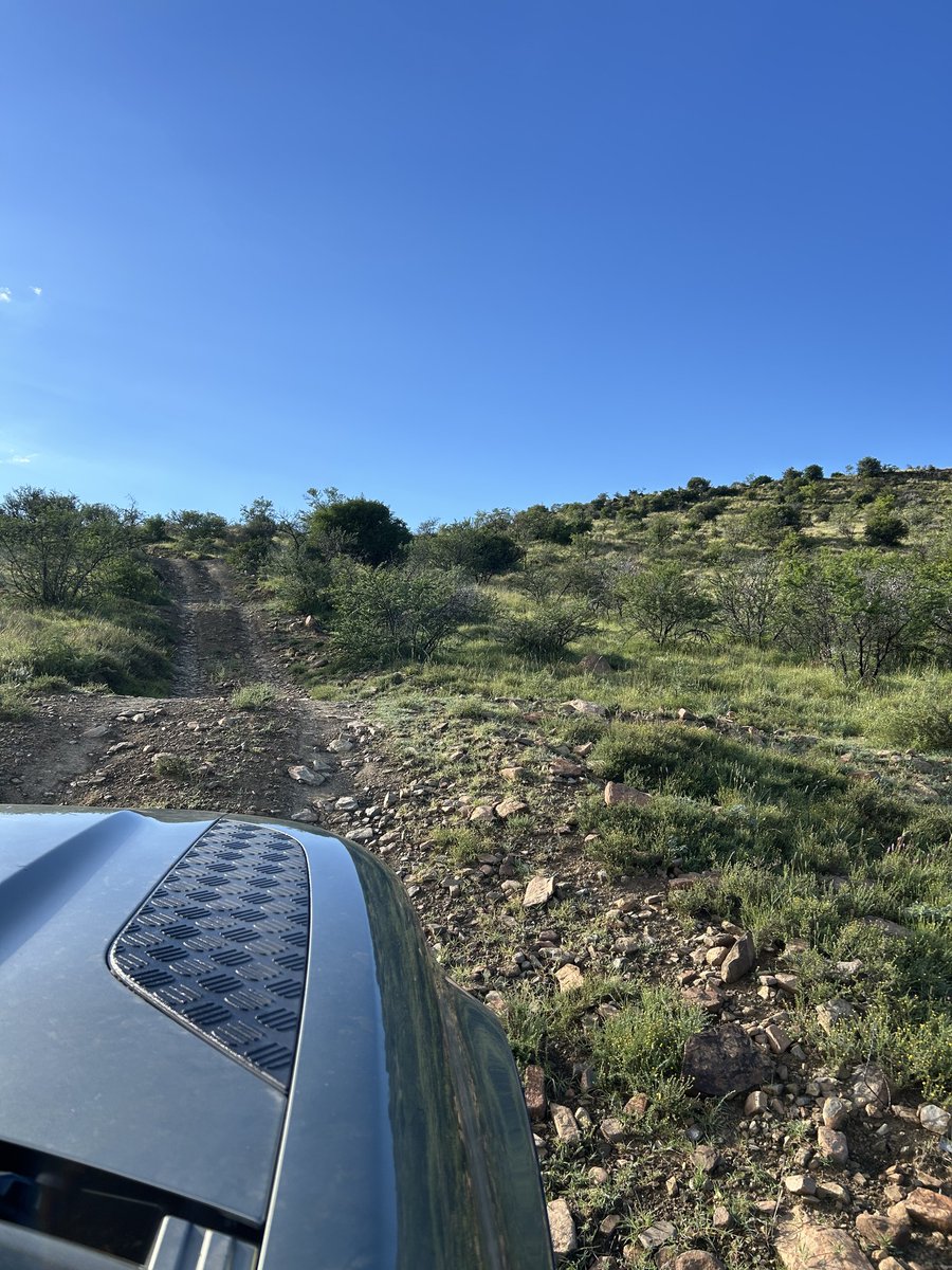 SANParks Mountain Zebra tweet media