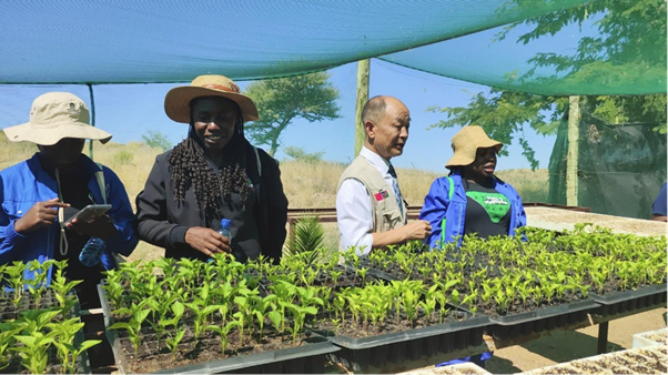 FAO Namibia tweet media