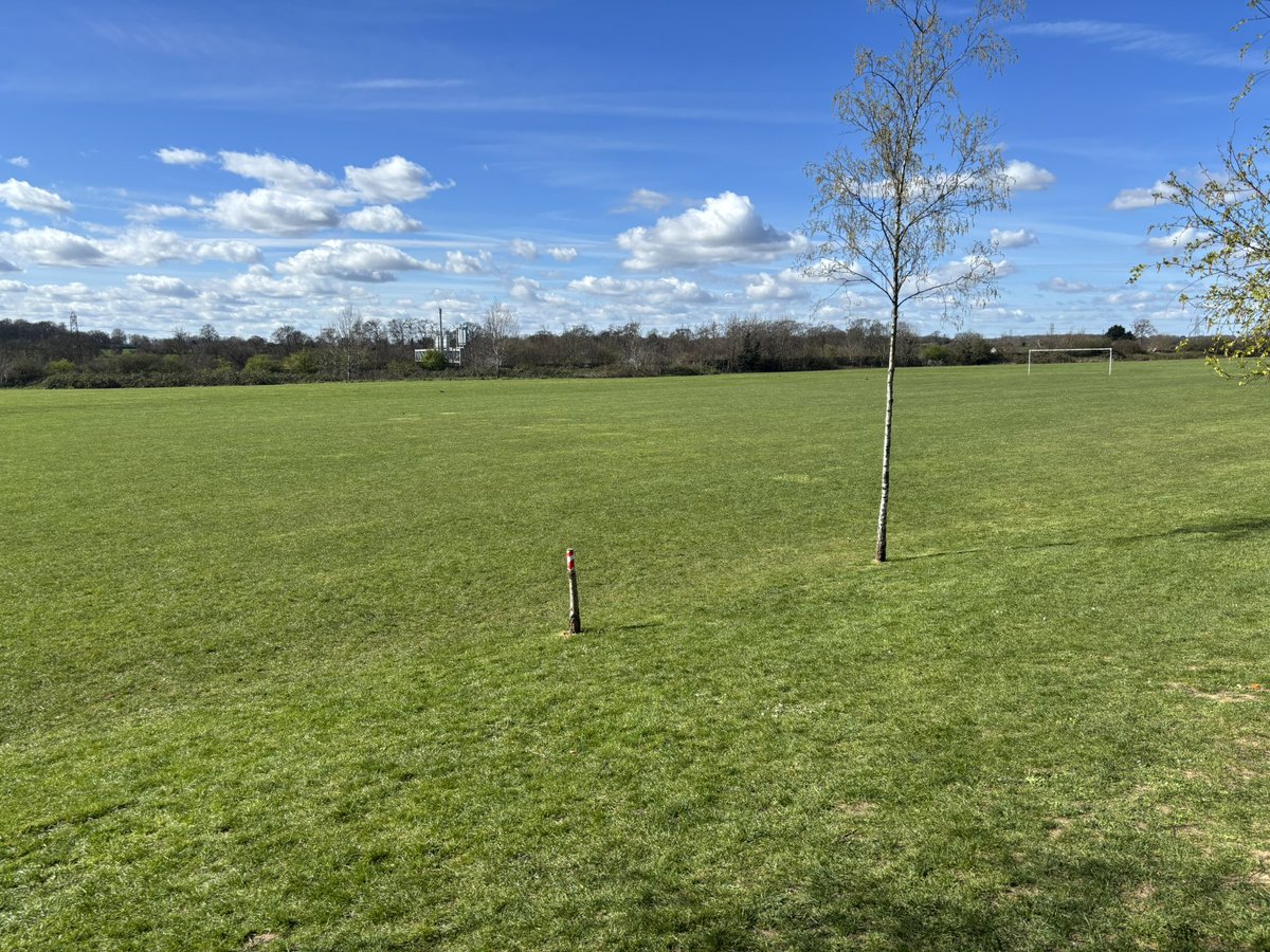 Paul O'Sullivan tweet media