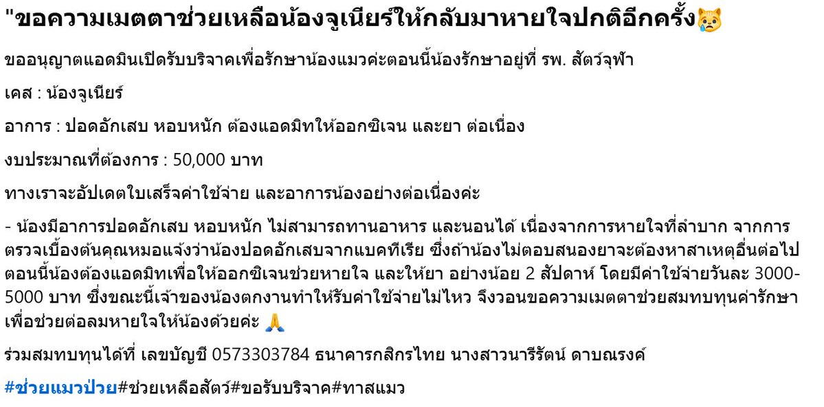 ไม่ควรมีแมวตัวไหนบนโลกใบนี้ต้องมาเป็นแมวจร tweet media