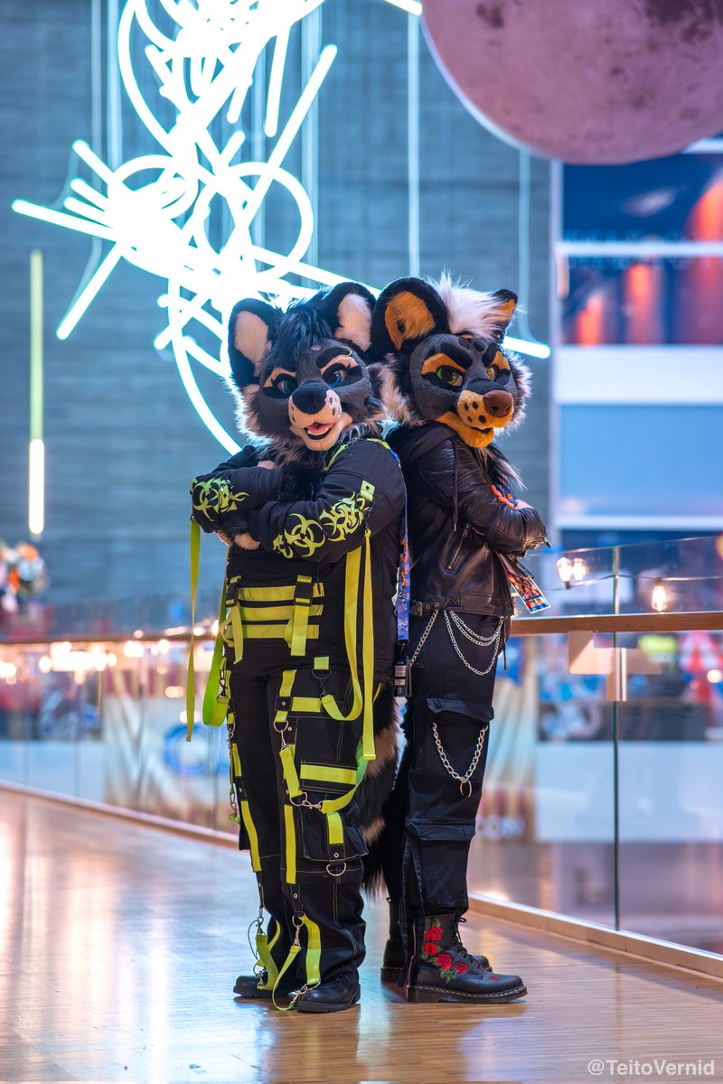 TylerTheJackal's tweet photo. Double trouble 😎
With @SorajonaEBC 
Pic by @TeitoVernid 
#fursuitfriday #thekareliafursuits https://t.co/Mk2lRie3Bs