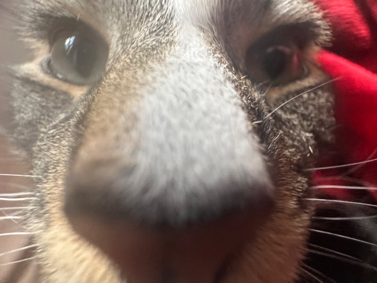 BruceDaWorst tweet media