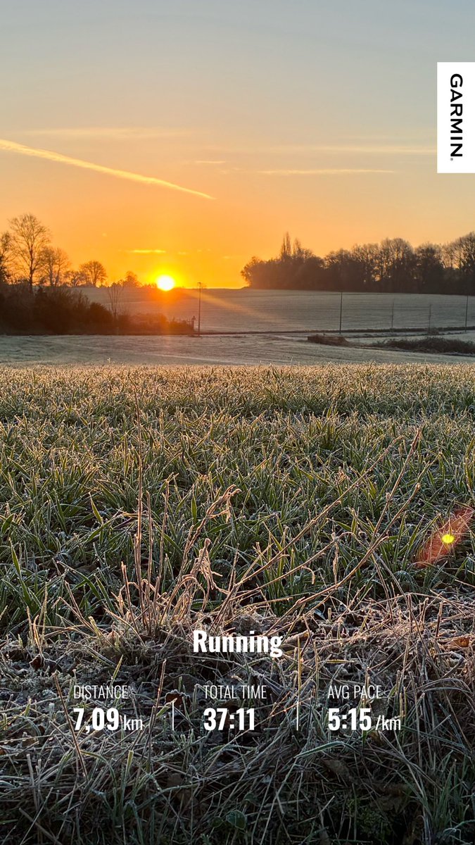 Introvertní trpaslík tweet media