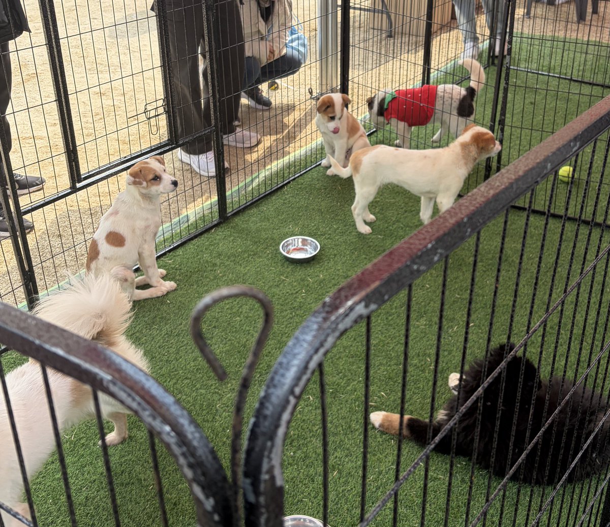 윤모(상태:회복중…) tweet media