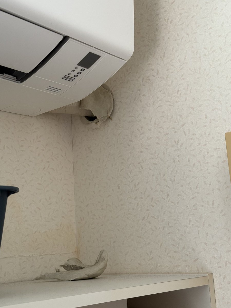 👛ゆこねぇさω 🐈🍚🏍️雑談垢 tweet media