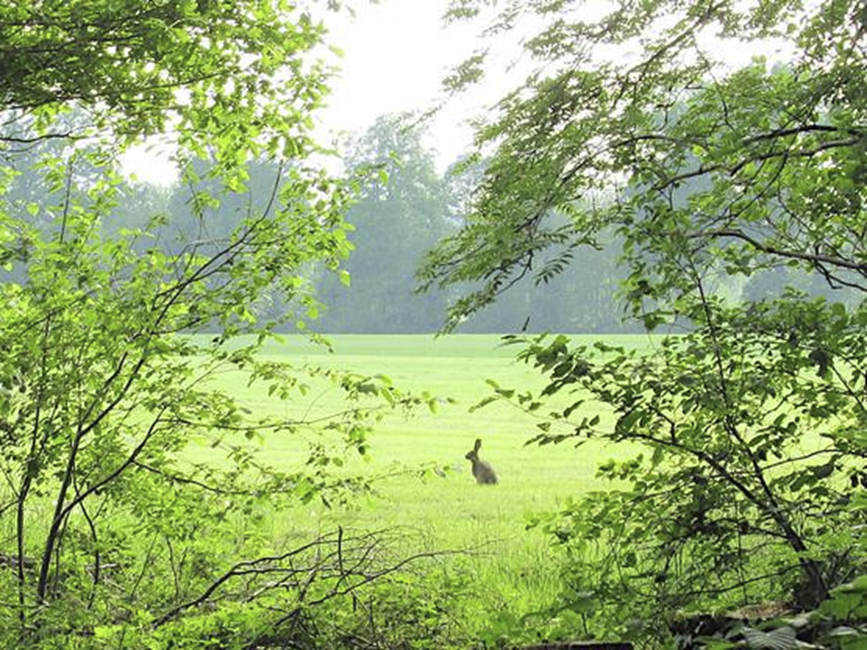 meganuni1 tweet media