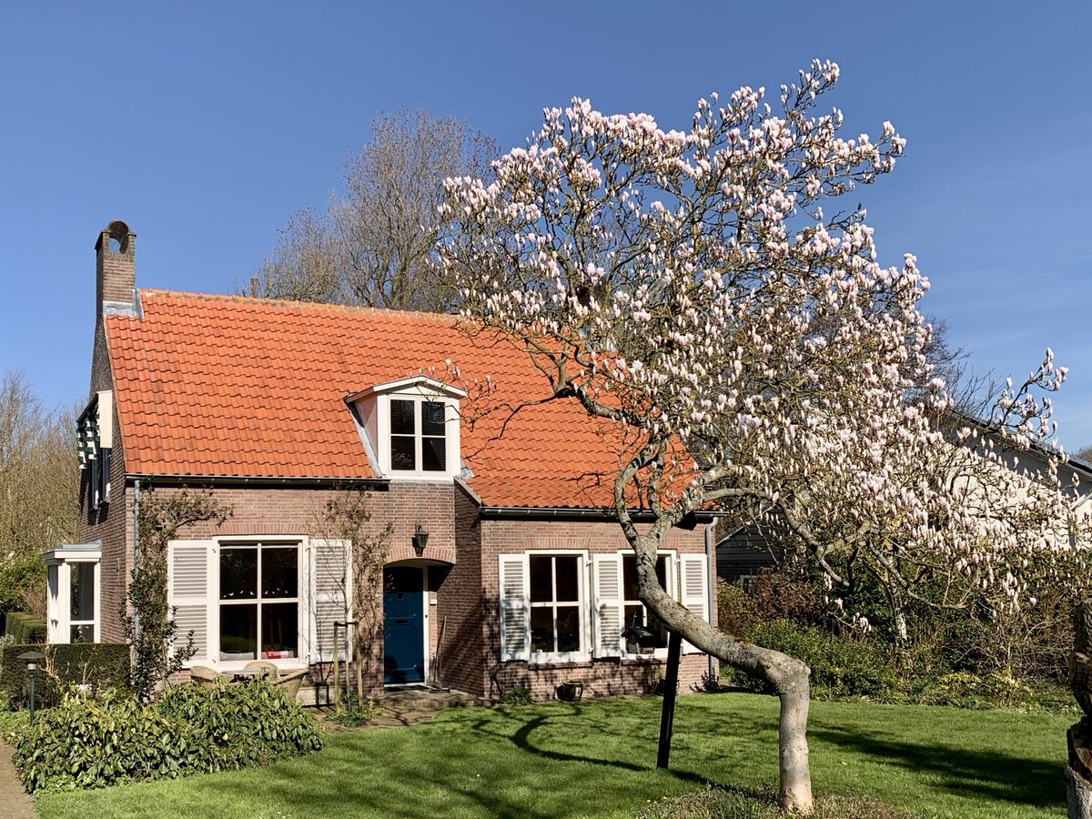 pictureofNL's tweet photo. 📸 Zoutelande
#MooiNederland🇳🇱 https://t.co/zdNevsISON