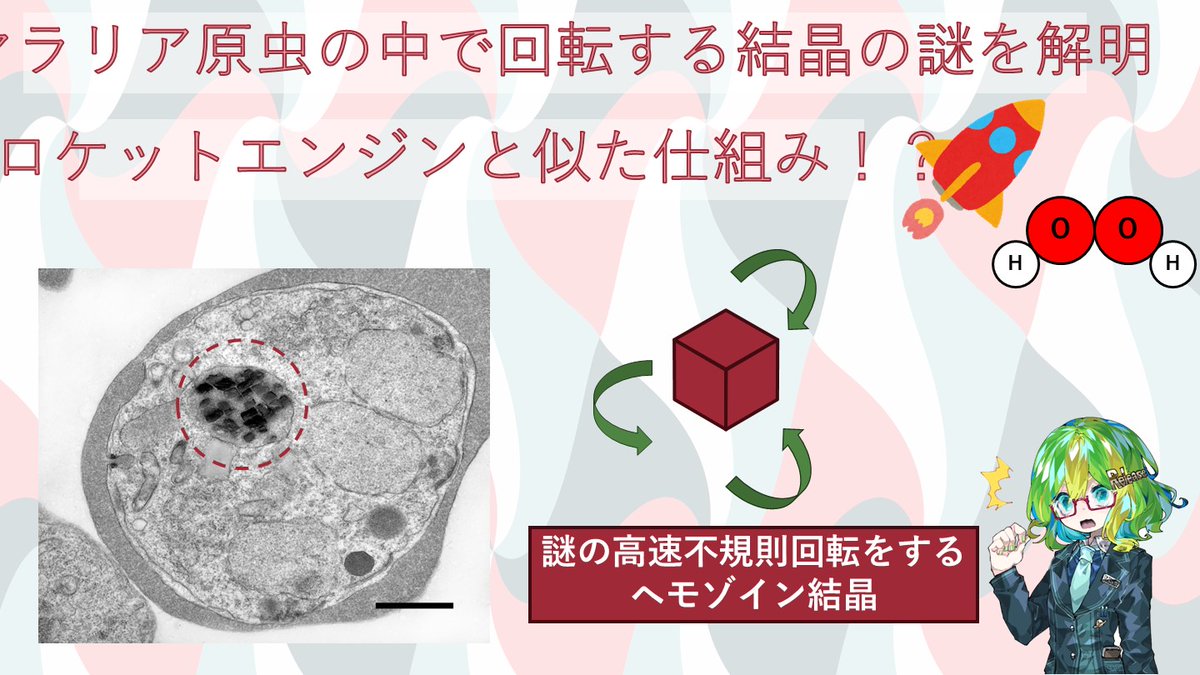 Lab BRAINS(ラボブレインズ)【公式】 tweet media