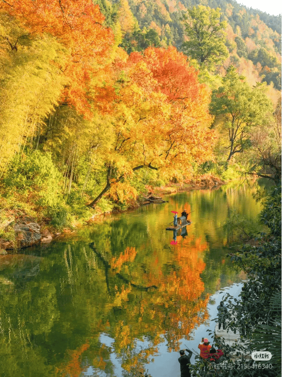 Thomas k Joseph tweet media