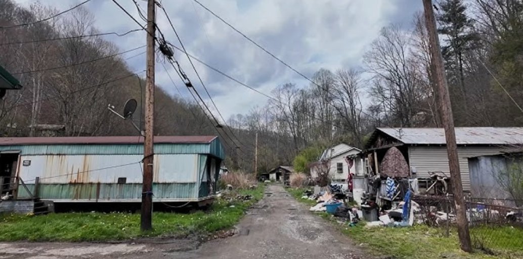 gradientz 🗽🇺🇸🌊🌹 tweet media