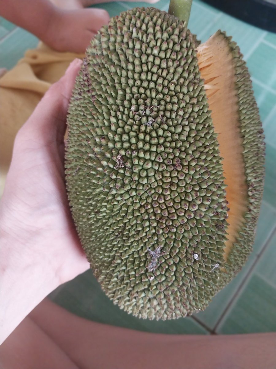 Nguyễn Thị Ngọc Trinh | Thea. tweet media