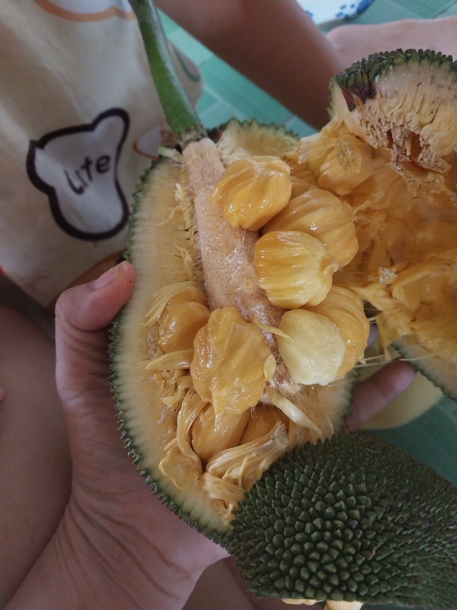 Nguyễn Thị Ngọc Trinh | Thea. tweet media