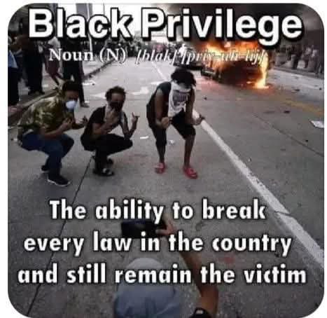 The Witness ๐ tweet media