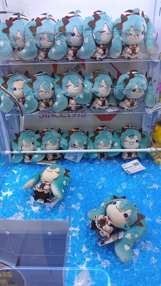 MGキスケ店 tweet media