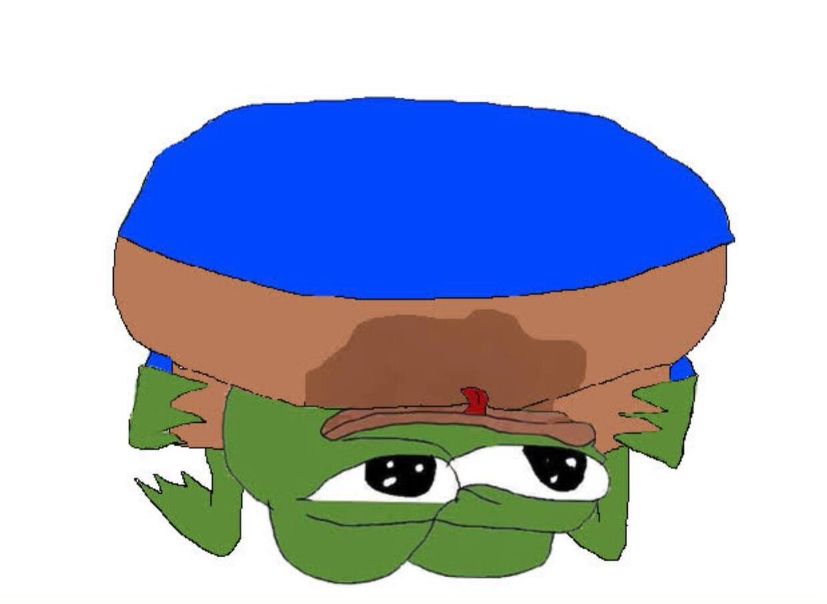 LFGOOO 🐸🌞 tweet media