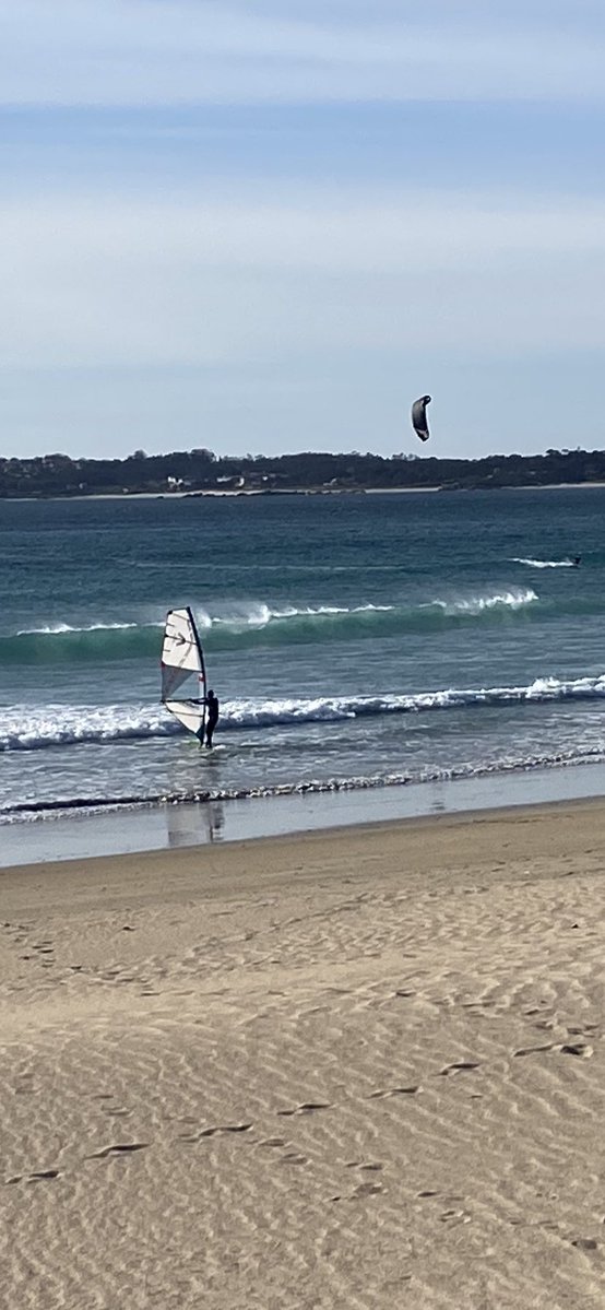 GALEGUIÑO 💫 tweet media