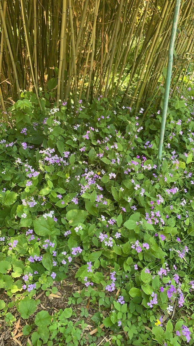 Dimas Winchester tweet media