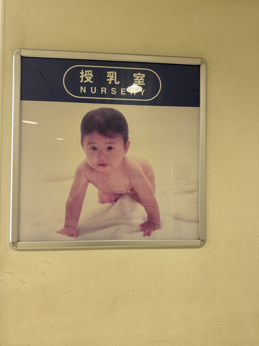 野崎広大 Kodai Nozaki tweet media