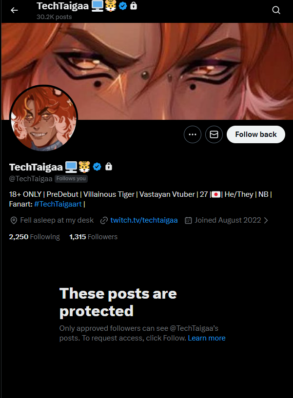 Finneko Mewrine🐾🦈||VEerie|| tweet media