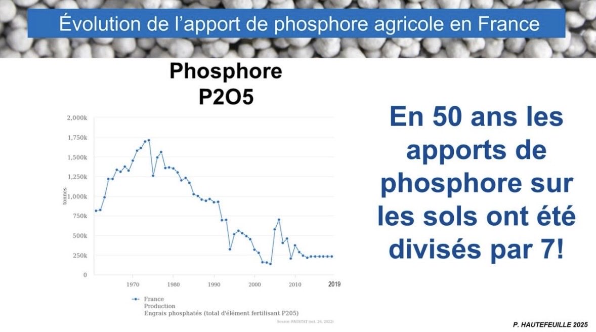 🇫🇷 Patrick Hautefeuille tweet media