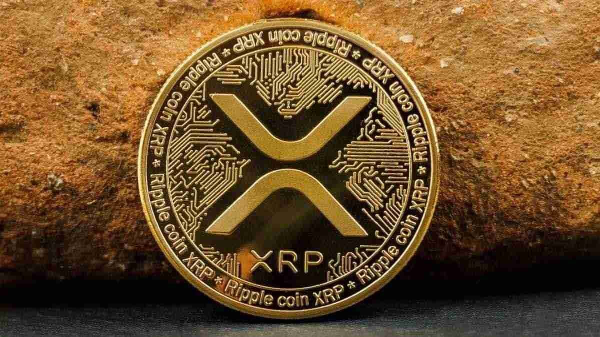 KingXRP tweet media