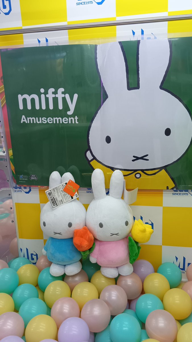 MGキスケ店 tweet media