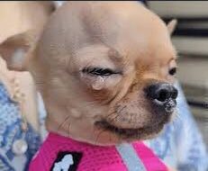 𝗡𝗢𝗠𝗘♠️♠️ tweet media