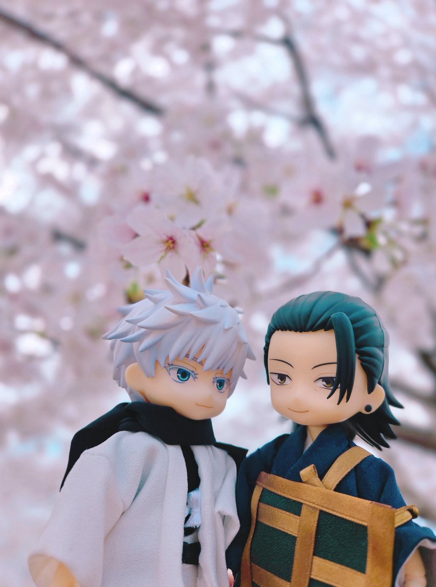 めこ🩵💛✈️ tweet media