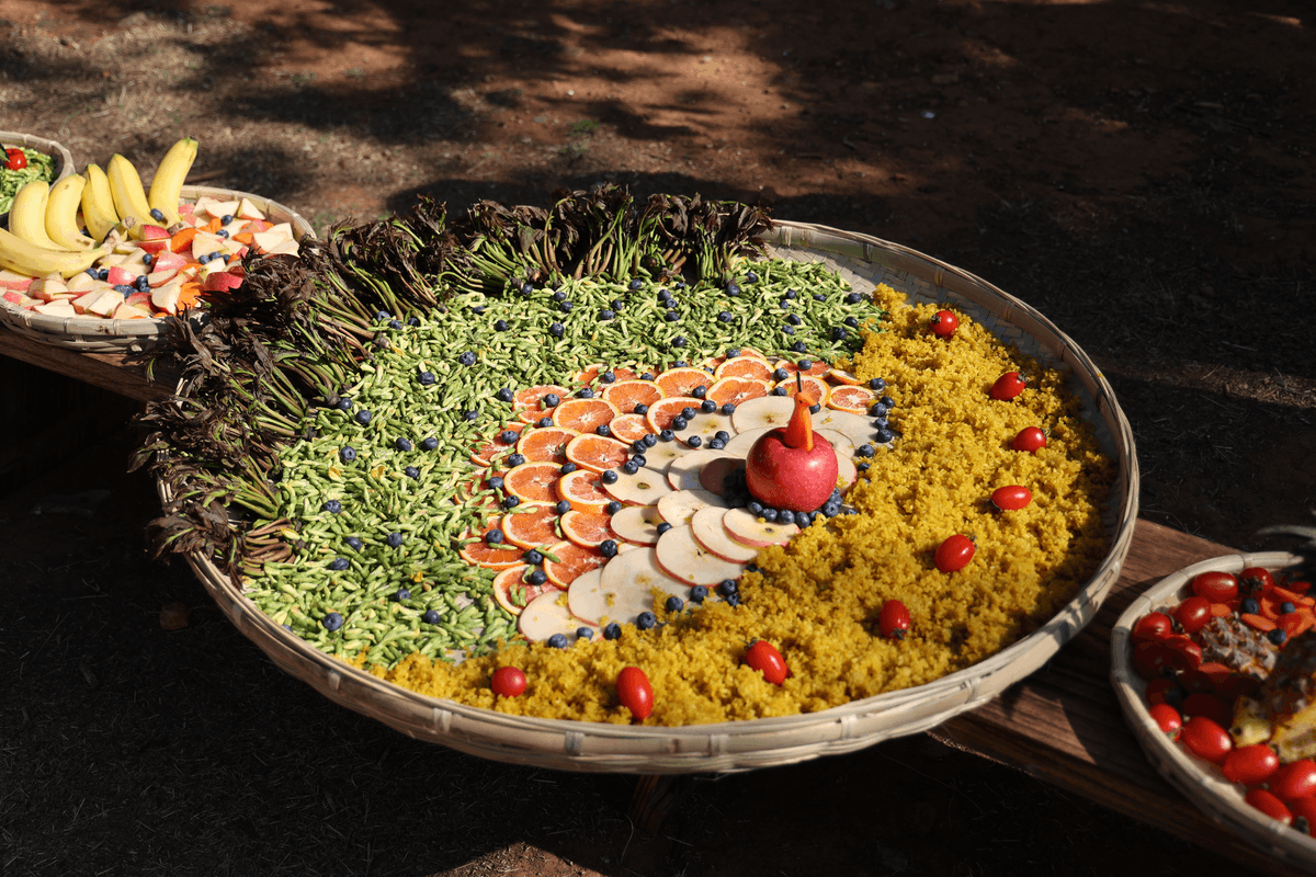 Kunminginfohub's tweet photo. Spring breezes blow gently, flowers bloom, and all things thrive. Yunnan Wild Animal Park has prepared a special spring feast for the animals, letting them enjoy delicious food and warm care. #KunmingBloomsWithYou #SojourninYunnan #CoCreateKunming https://t.co/W2ZCZg01qw