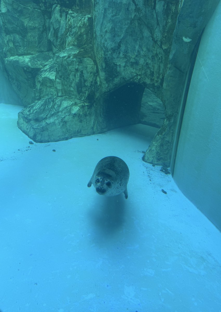 bui🐈🦭 tweet media