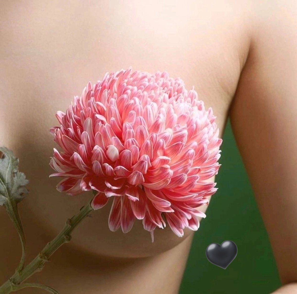 luxia ♏ tweet media