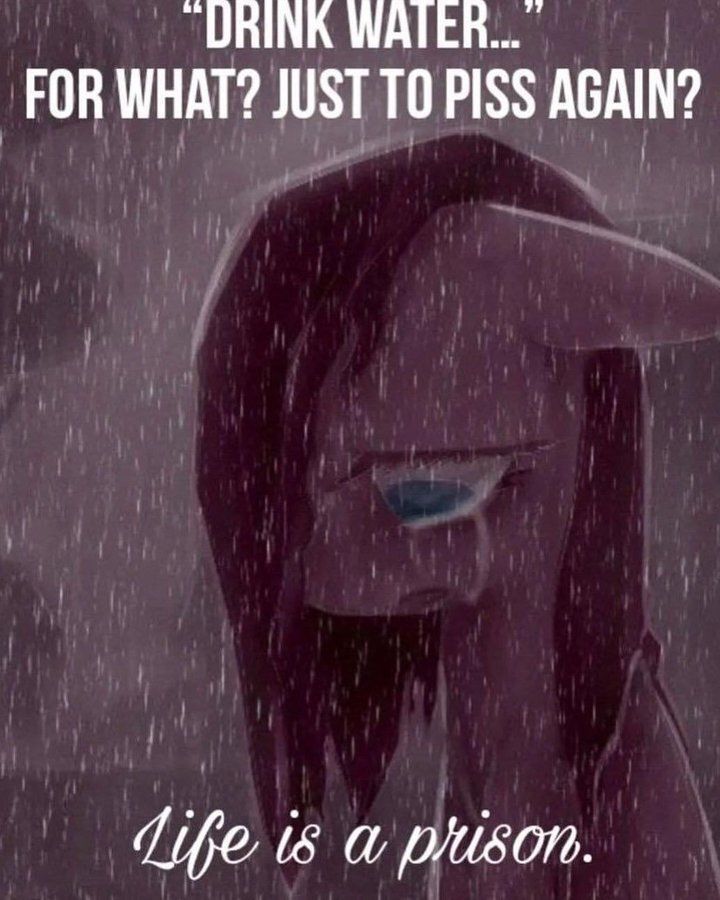 memes to save tweet media