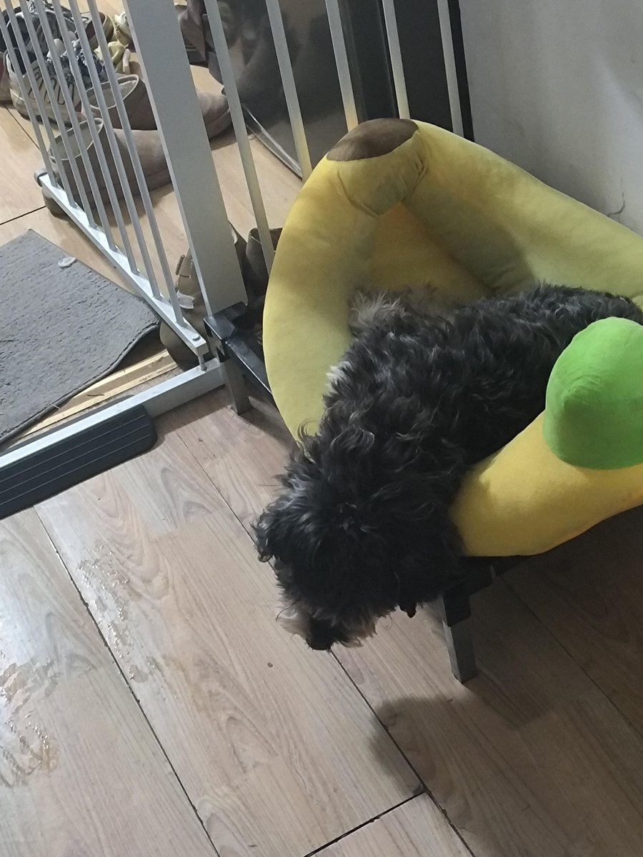 Jeffrey Cole tweet media