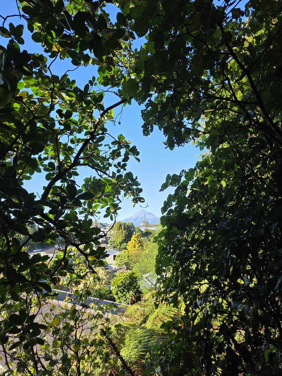 Shona Glentworth tweet media