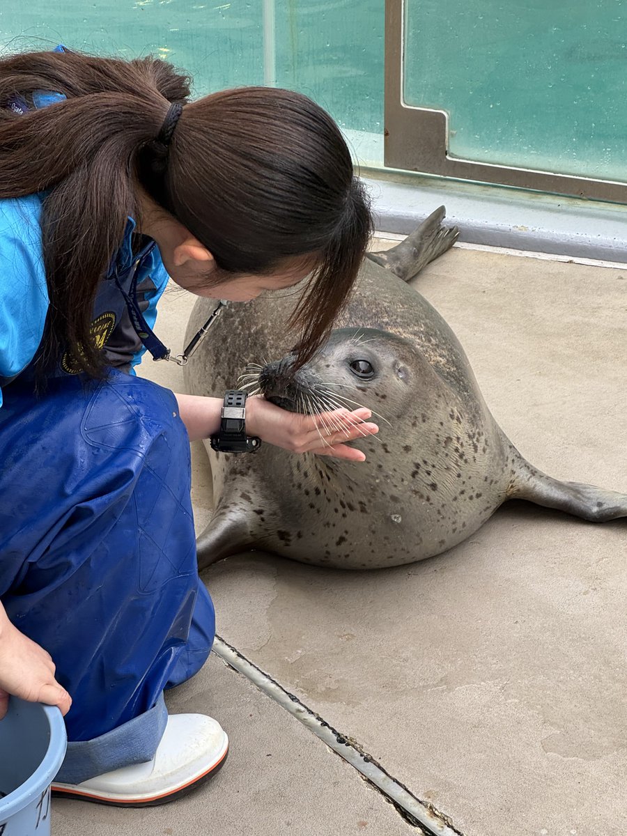 bui🐈🦭 tweet media